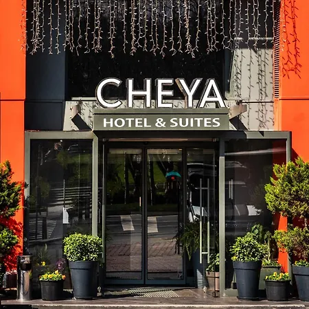 Cheya Besiktas Bosphorus Center & Отель 3*