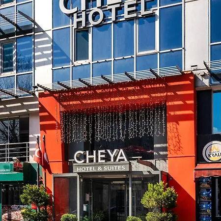 Отель Cheya Besiktas Bosphorus Center &