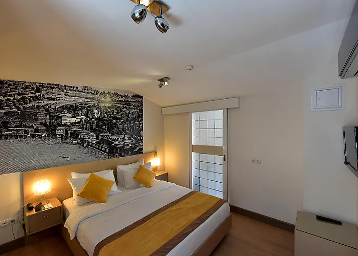 Ξενοδοχείο Cheya Besiktas Bosphorus Center & 3*