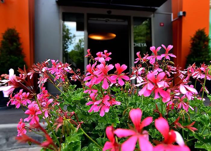 מלון Cheya Besiktas Bosphorus Center & 3*